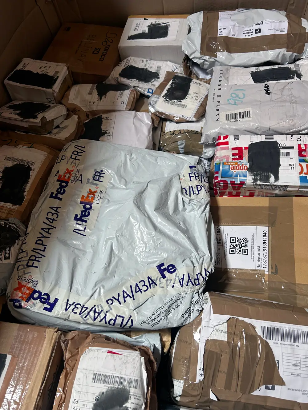 CHASSE-AUX-COLIS-PHOTO 1